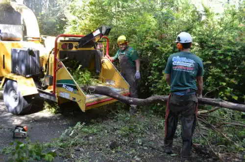 tree services Rowland Heights